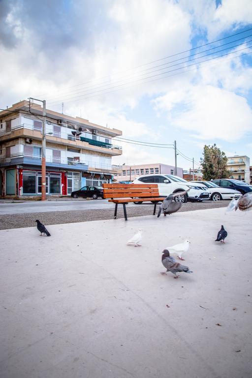Sea View Apartments Near Athens Airport 阿特米达 外观 照片